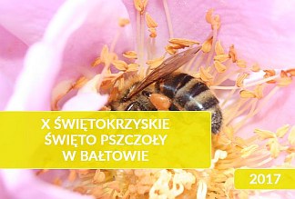 karmy dła pszczól na X Świętokrzyskie Święto Pszczoły w Bałtowie Nowe możliwości wykorzystania propolistu w tworzeniu nowoczesnych opatrunków biodegradowalnych. Pyłek pszczeli w profilaktyce i terapii.