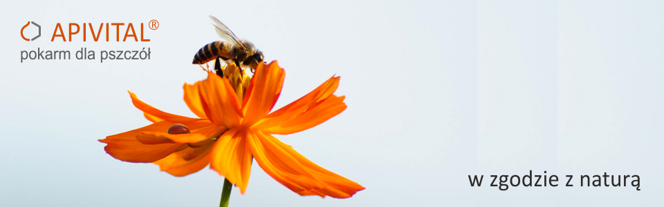 APIVITAL® syrop - wyprodukowaliśmy karmę, która jest najwyższej jakości dla pszczoł i bardzo komfortowa dla pszczelarza