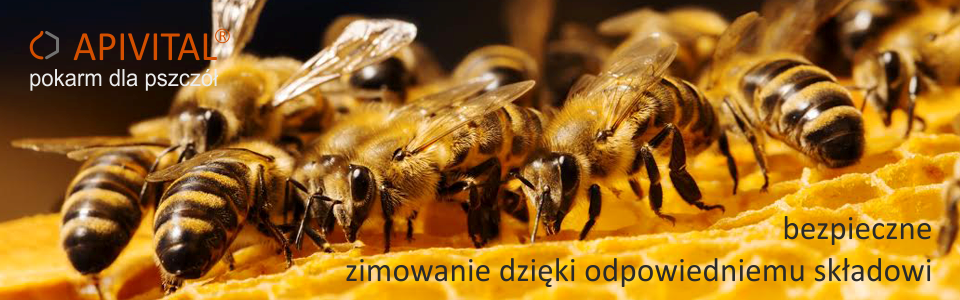 Pokarm dla pszczół APIVITAL® syrop - bezpieczne zimowanie pszczół dzięki odpowiedniemu składowi